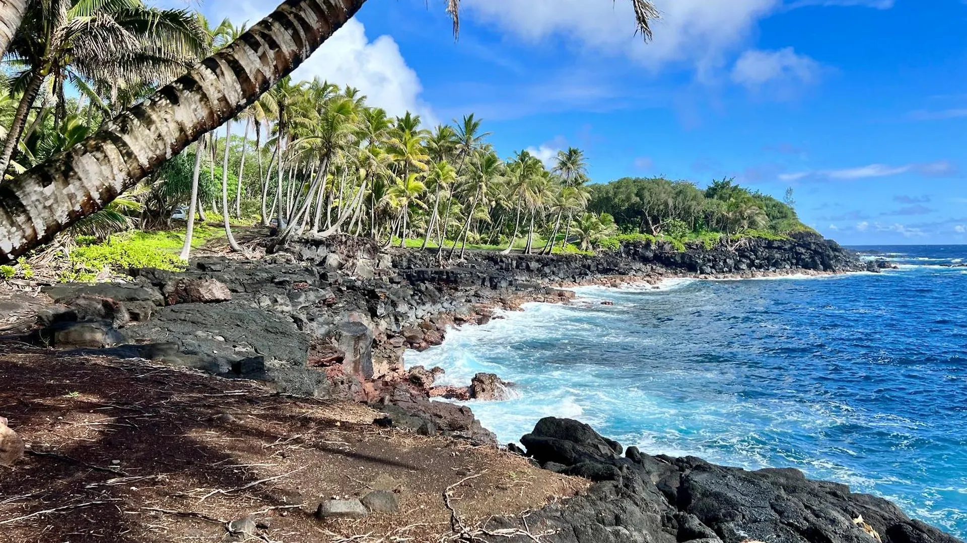 بيت للعطل The Bali House And Cottage At Kehena Beach Hawaii